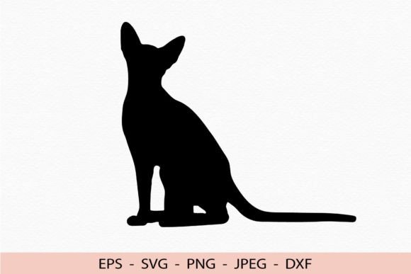 Abyssinian Cat Pet Silhouette