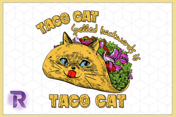 Taco Cat Cinco De Mayo Taco Lover